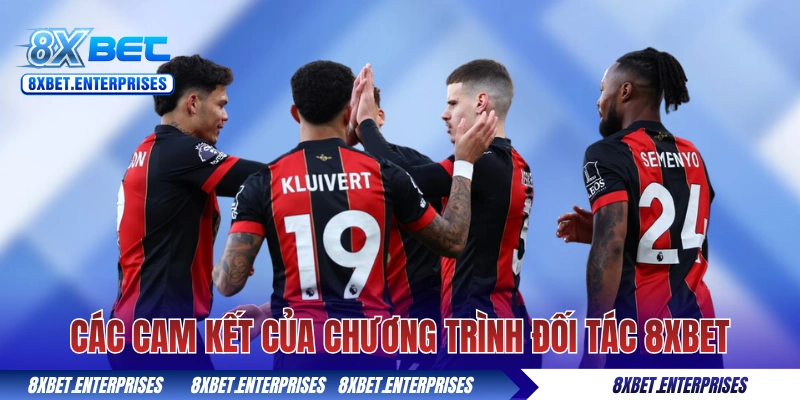 Các cam kết của chương trình đối tác 8xbet