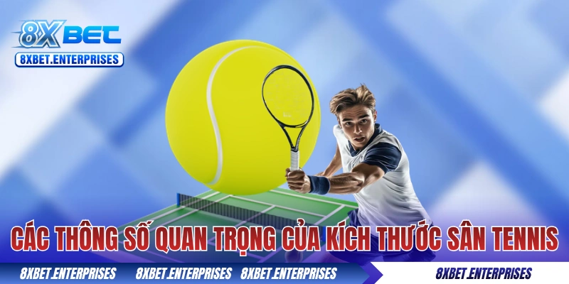 Các thông số quan trọng của kích thước sân Tennis 8xbet