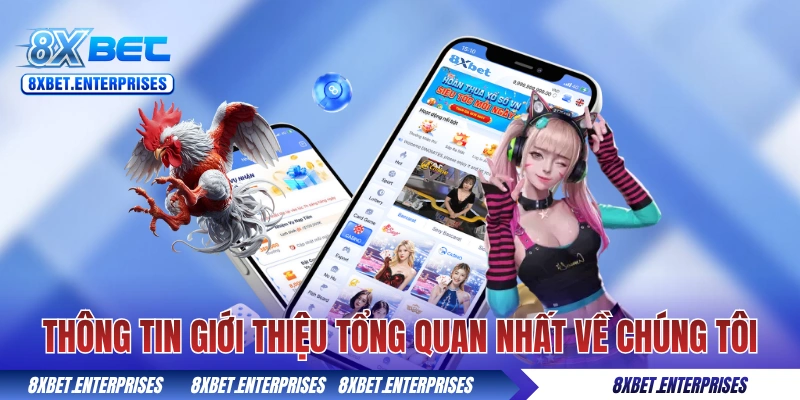 Những thông tin giới thiệu tổng quan nhất về chúng tôi